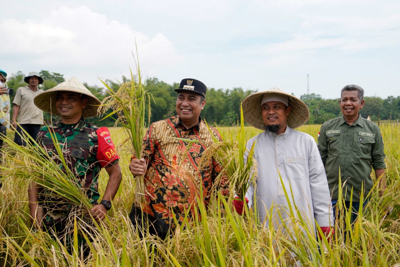 Bupati Maros Akui Program Mandiri Benih Gubernur Sulsel Sangat Membantu Petani
